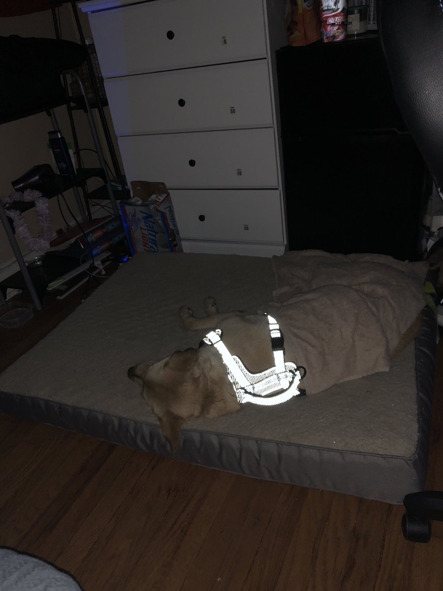 Allergies got the best of me tonight, Ts &amp; Ps appreciated.