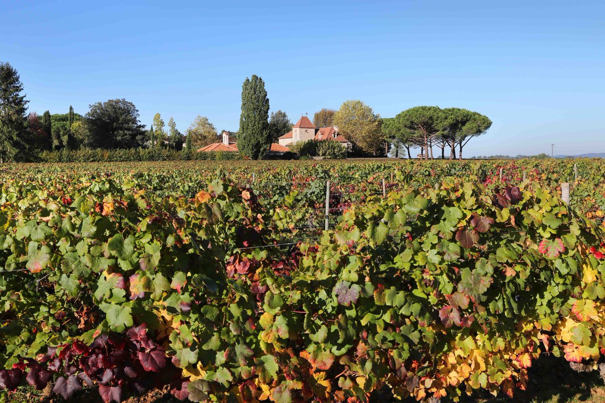 maisonvigouroux's tweet photo. Taste our #Cahors and #Occitanie #wines in @Vinexpo Hall 1 Stand A117. #Vinexpo #VinexpoBordeaux https://t.co/sjsKsTI9mg