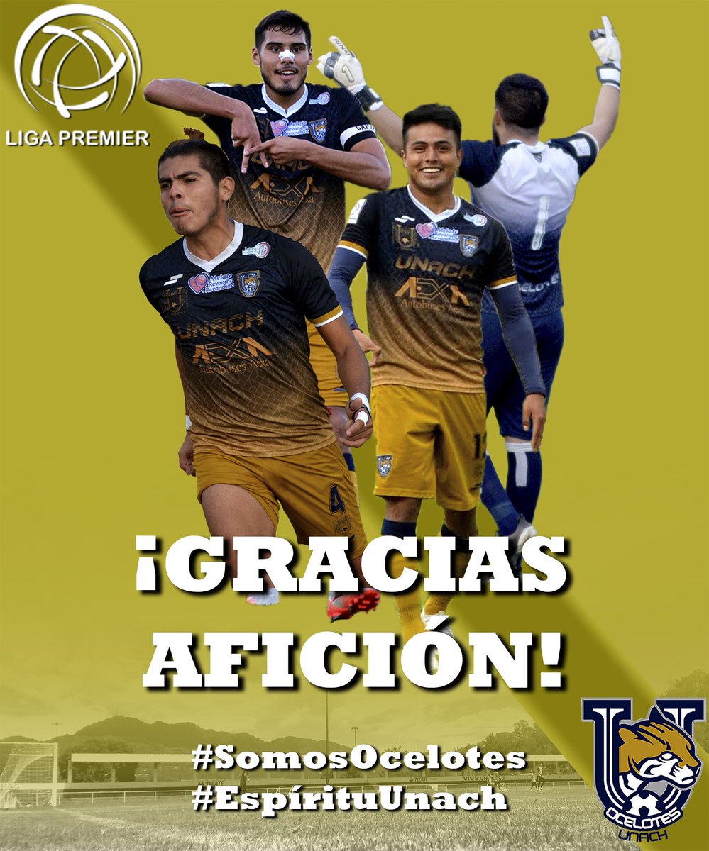 Sin ustedes nada hubiera sido posible. 
#TodosSomosOcelotes