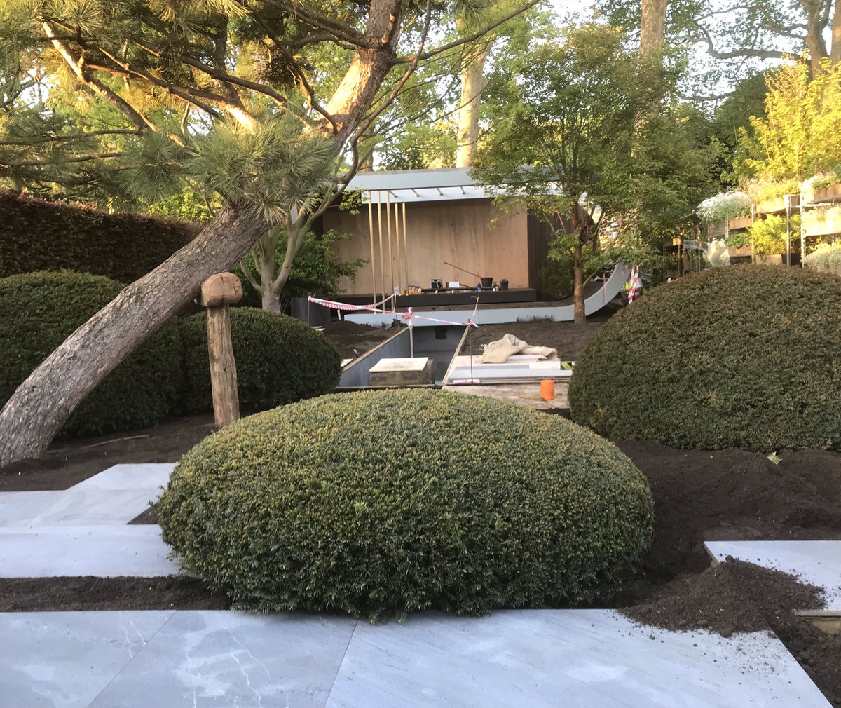 chrisbeardshaw's tweet photo. Day14 @MorganStanley #RHSChelsea garden- evening sun drapes warm tints over the garden - a moment of calm in a construction site https://t.co/V4EycRCFQZ