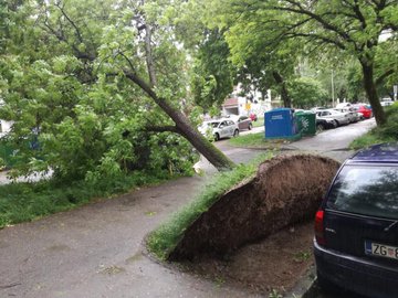 View image on Twitter