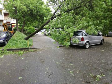 View image on Twitter