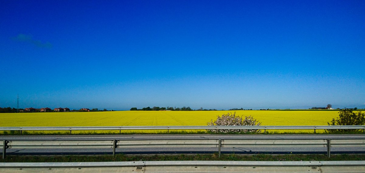 KelliehWildcat's tweet photo. View from the highway. 

#sweden #skane #swedishspring #sverige #skåne https://t.co/UtUXXQEDRB