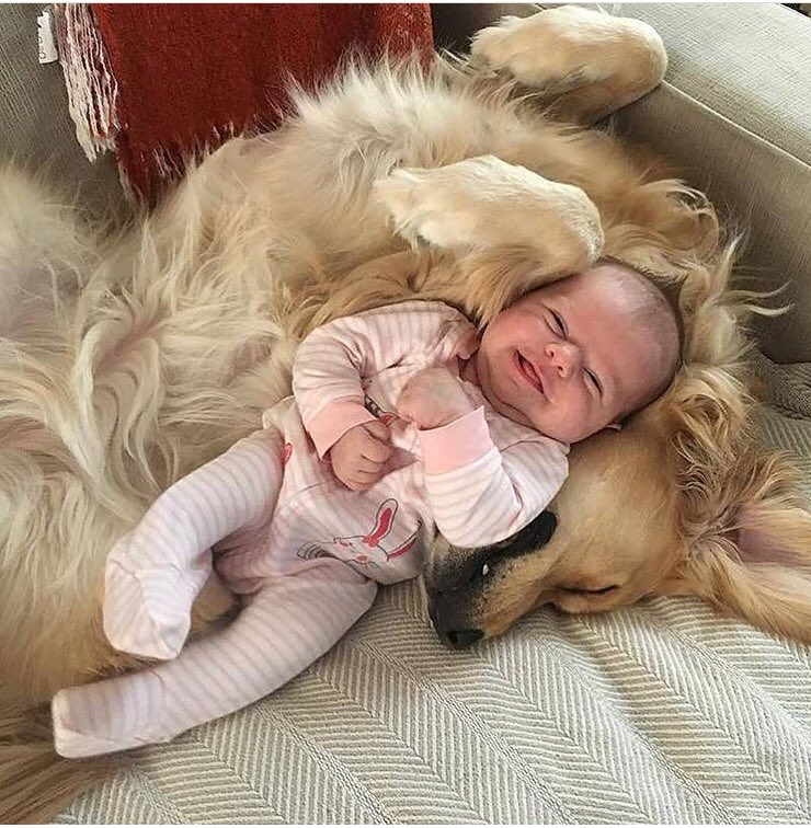 ifalcrew's tweet photo. @VictoriaD6363 @TanRob22 @Mellyssa57 @KedmaHelena1 @TimeisAllitTake @lana_liss @DawgfishJ @derek7568 @StacyZuniga @AnewtaC @NobuOhchan @nycliving207 @karmila_sari99 @YouTube @fahmirosajava @RosanaFava @gh__sh77 @DjMathula_SA @99freehold @nyit2_ineu @Silvia080 @AnneScottlin @lv4gab @masbudi111 @sgt_paul7789 @adit_an21 @Wlada_Kalinina @Irenka_Kalinina @ElenkaGureva @LatofaOb @11Esperena @TsamaraDKI @AntoniRaja @grace_nat @psi_id @paula_oetomo @SaprixS @Milamariamey @fanie_carmelion @miraclecathy @LydiaTrinita @StellaSuwardi @gitamontolalu @MayaNindya2 @OlgaLy_DIA @iwanfals @yunartowijaya @joanna @MoniUnidos @ConstanzaL77 https://t.co/uGr9KfJgWl