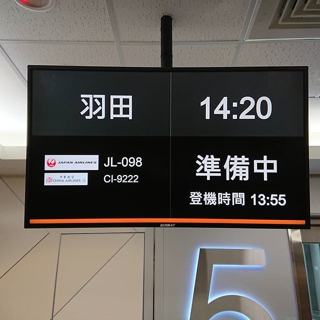 tarof0131's tweet photo. 夢の終焉。大満足の台湾旅行でした。再見！ #台湾旅行 #台北松山空港 #jl98 https://t.co/ylwrdQIP15 https://t.co/UhyMMYxCr1