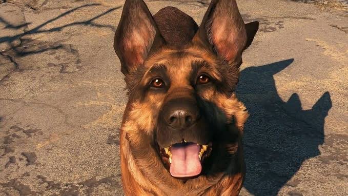 ウマヲ 愛犬の日 Fallout ドッグミート ドッグミート可愛いよドッグミート でもなんでドッグミートって名前なんだろう ドッグミート抱いて寝たい T Co Qojwvqu9mw