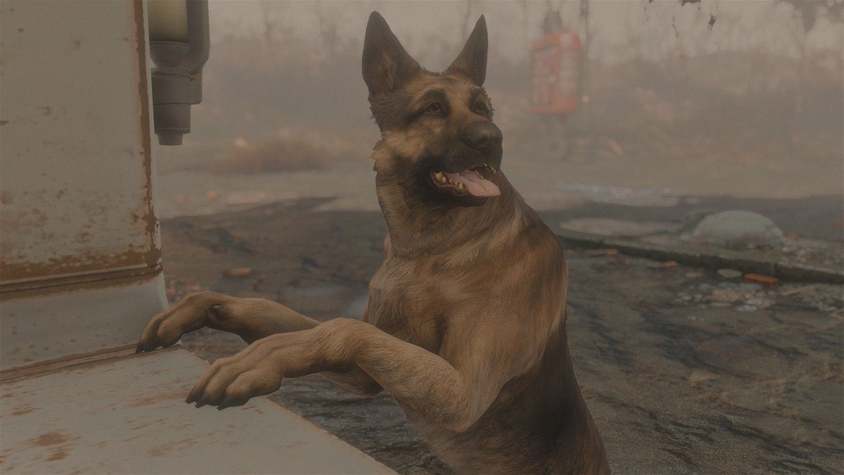 ウマヲ 愛犬の日 Fallout ドッグミート ドッグミート可愛いよドッグミート でもなんでドッグミートって名前なんだろう ドッグミート抱いて寝たい T Co Qojwvqu9mw