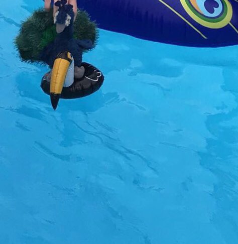 Perry_Peacock's tweet photo. Just out for a swim on my new float #corfu https://t.co/4sNTewDgE0