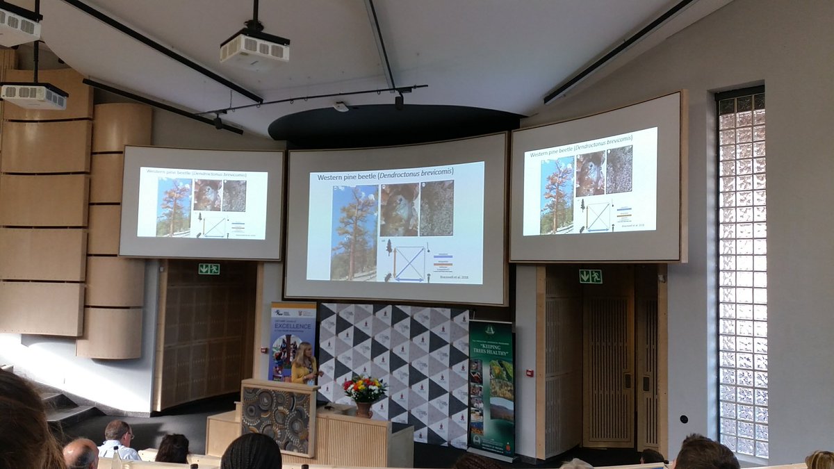 Mandy Messal tweet media