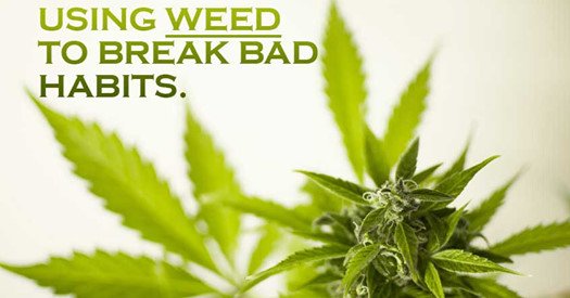 taileater's tweet photo. Weed can help you to improve your life. Learn how smoking pot can lead to healthy positive changes in your life at www.taileaters.comhttps://www.facebook.com/becominglucid/posts/10156290740788431 https://t.co/d92J8b4mJI