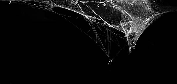 AuthorMARoth's tweet photo. MONDAY #MYTHICAL CREATURES

#Arachne, half-spider half-female, the mother of all spiders. She was transformed into this state by Athena after challenging her to a weaving contest. https://t.co/tGsTAHBp3L