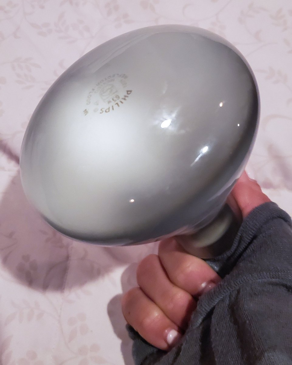 TheRealKariK's tweet image. At no point in 9th-grade home economics was I told to budget $40 for dimmable light bulbs.  The system failed me.  #XennialProblems #education #iwasntwarned
#Whatareintheselightbulbs