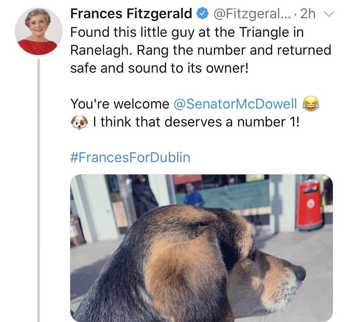 White Bear Studio tweet media