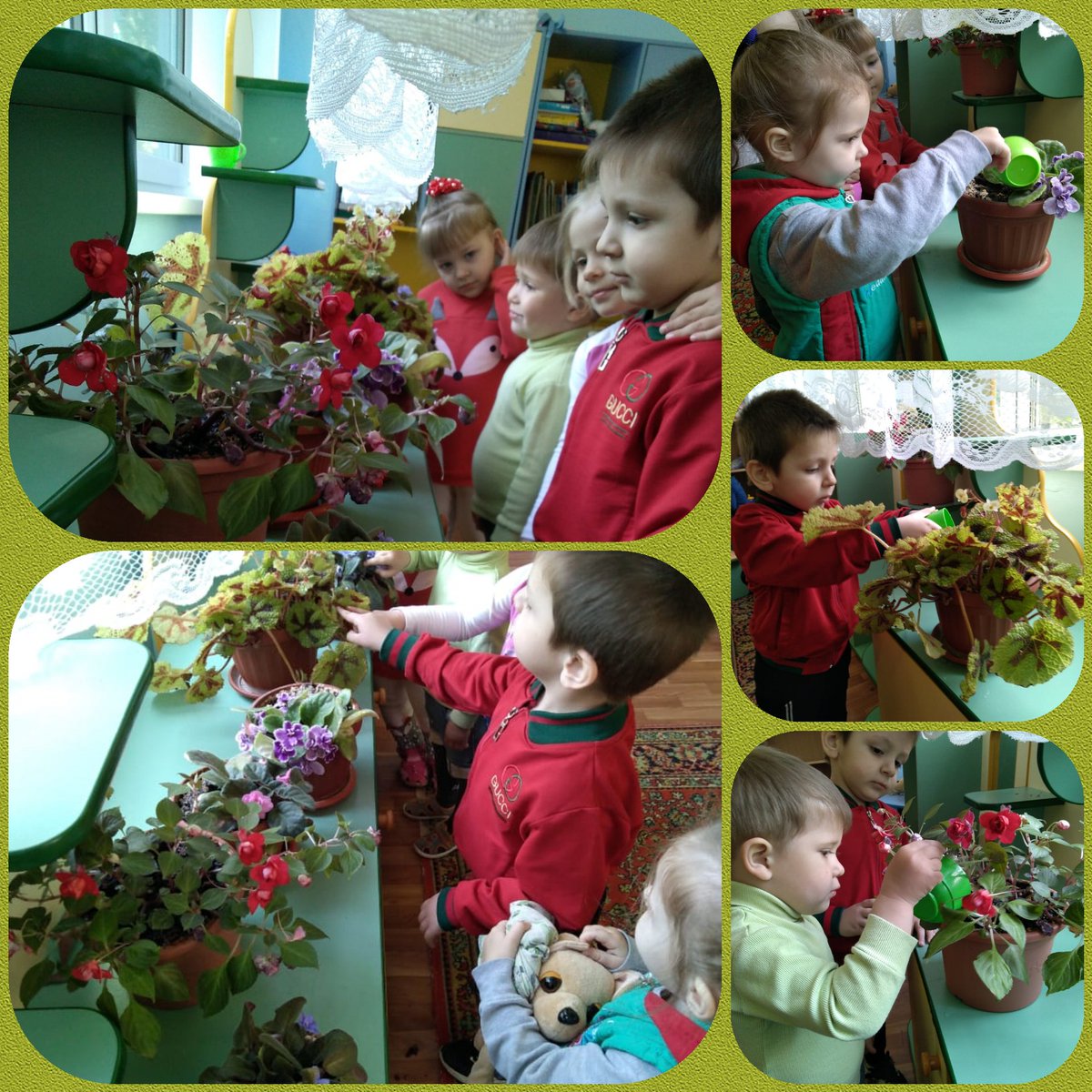 Игра-занятие "Все профессии важны. Садовод" Полив комнатных растений.1 мл. гр. Воспитатель Каширская Т. А.