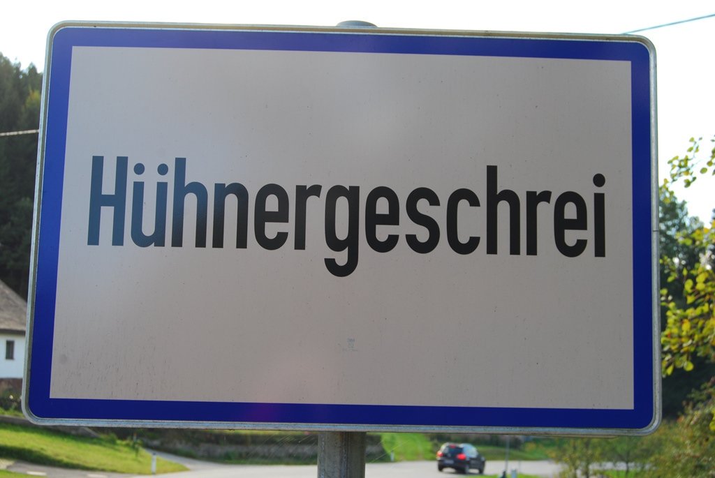 German at Portsmouth tweet media