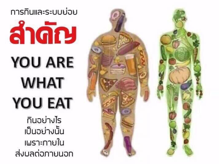 SecretThrough's tweet image. สุขใดจะเท่าการมีสุขภาพที่ดี
แนะนำ Fibrotic Detox
X ท้องผูก
X ท้องเสีย
X มีปัญหาผิว
X ท้องอืด ท้องเฟ้อ
X มีกลิ่นตัว กลิ่นปาก
อย่าลืมดูแลคนที่เรารักด้วยของขวัญเพื่อสุขภาพ Fibrotic
👉สั่งสินค้าคลิก🌻🌴
🄻🄸🄽🄴 line.me/ti/p/~phee2822