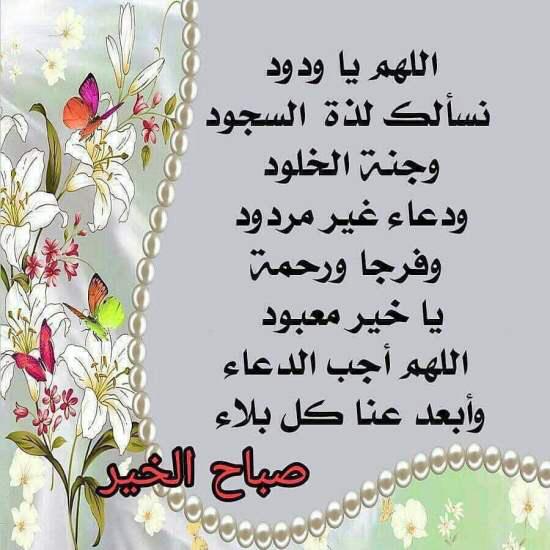 UmMoh7's tweet photo. https://t.co/um6FQf7qzz