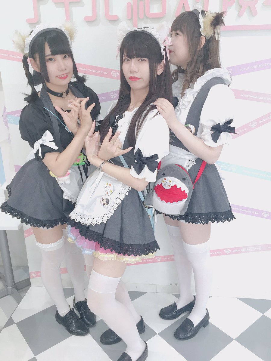メイドカフェ アキバ絶対領域 Twitterren アキバ絶対領域 よるにゃんこ W S うに さぁや 18時まで むぎ いちあ 18時から めい 人間さんまってるにゃーん アキバ絶対領域 メイドカフェ