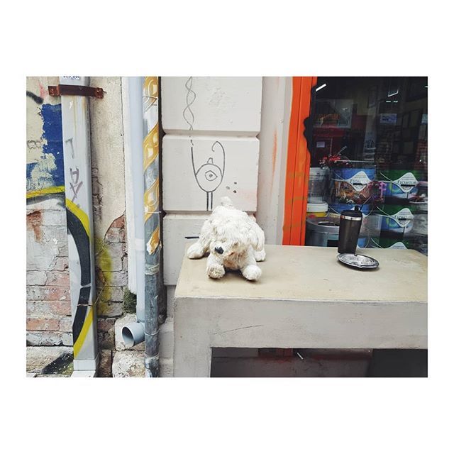 IvanaDeInno's tweet photo. Disillusionment 🧸
.
.
.
.
.
.
.
.
.
#urbanxploration #salonica #thessaloniki #salonicco #ig_thessaloniki #ig_greece #streetphotography #greece🇬🇷 #greece_travel #greecestagram #thessaloniki_city #salonicacity https://t.co/EqLdwYPwwc https://t.co/zjCBuH0hlm