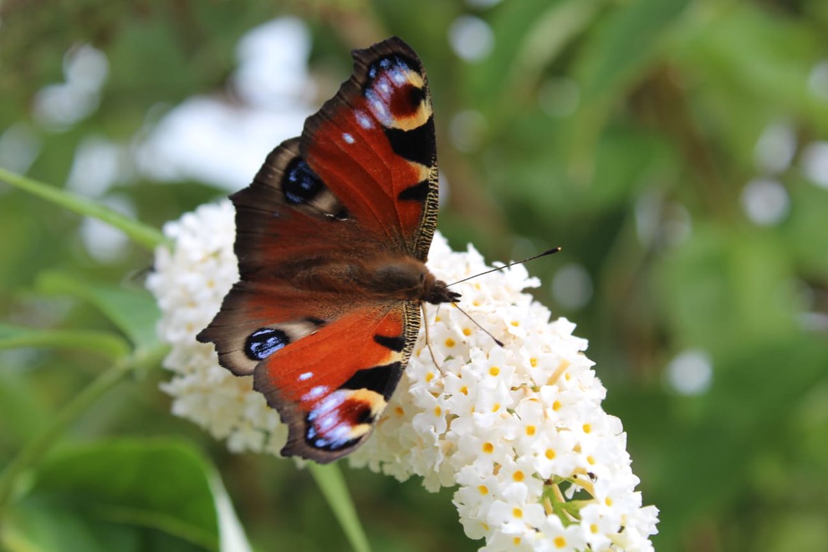 LeitrimTourismNet tweet media