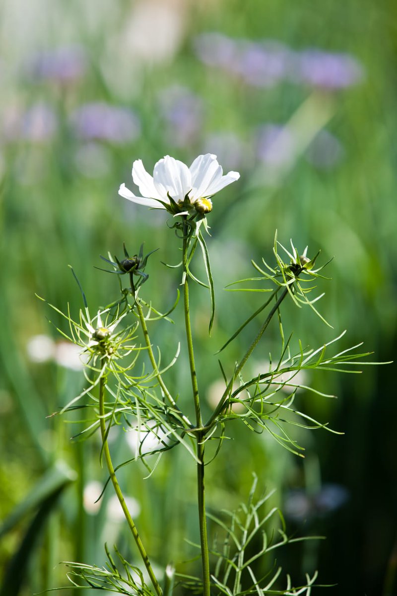 LeitrimTourismNet tweet media