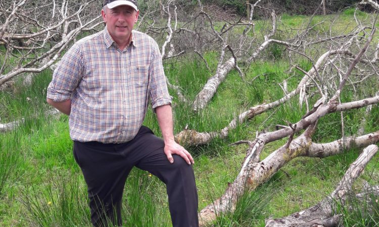 LeitrimTourismNet tweet media