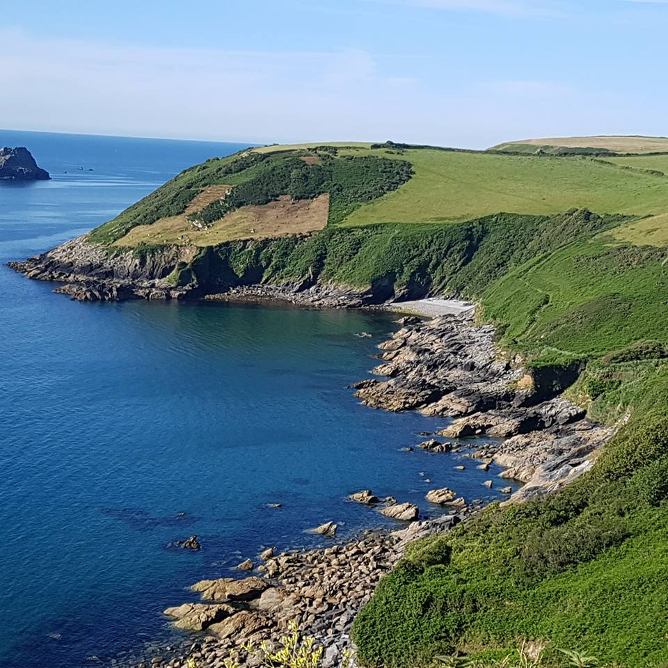 CHAOS Local tweet media