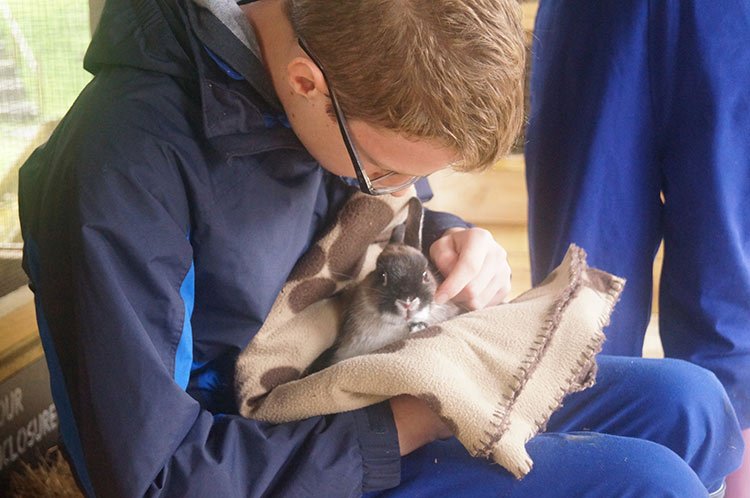NorthHayne's tweet photo. #mentalhealthawarenessweek2019
We all need animals in our life...
#Farmbreaks #Devon https://t.co/Xn7m64pbfe