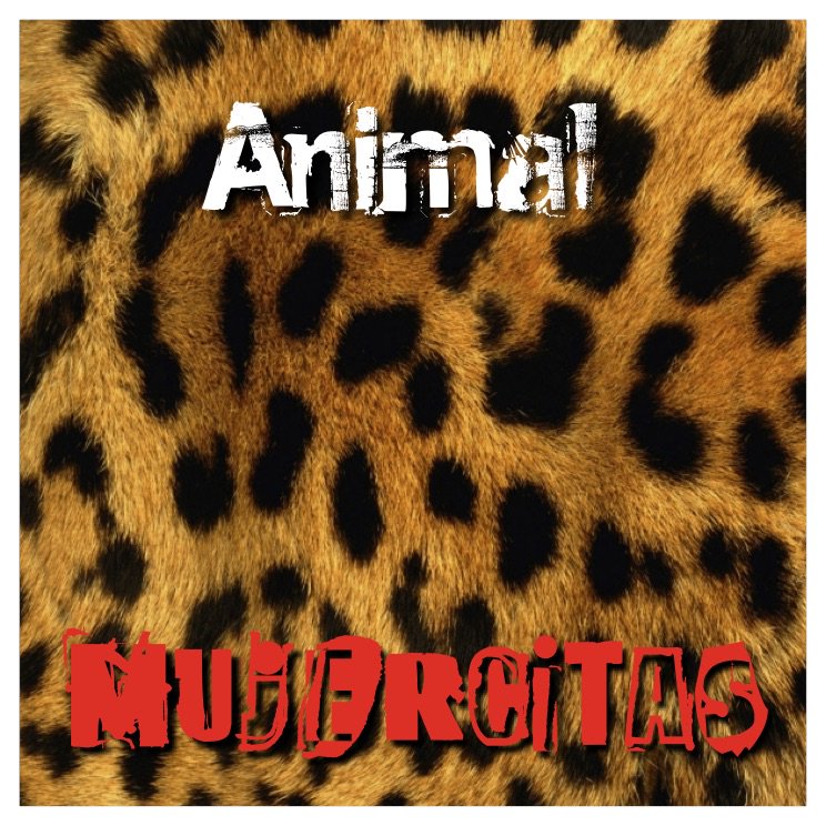 MostazaMusic's tweet photo. Tenemos una nueva incorporación a la familia Mostaza. 
Vienen desde Canarias, con su Rock fresco con toques de Indie. 
https://t.co/3eD1sEVzcK
Y vienen con su nuevo álbum bajo el brazo: "Animal". 
#rockcanario #rockenespañol #MujercitasRock #Rock #Indie #TienesMostaza https://t.co/mNfE1H5yD4