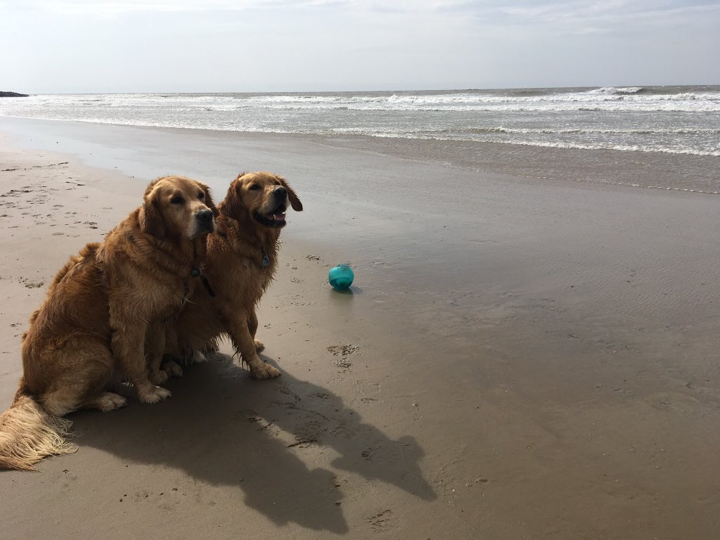 Visit Bridgend tweet media