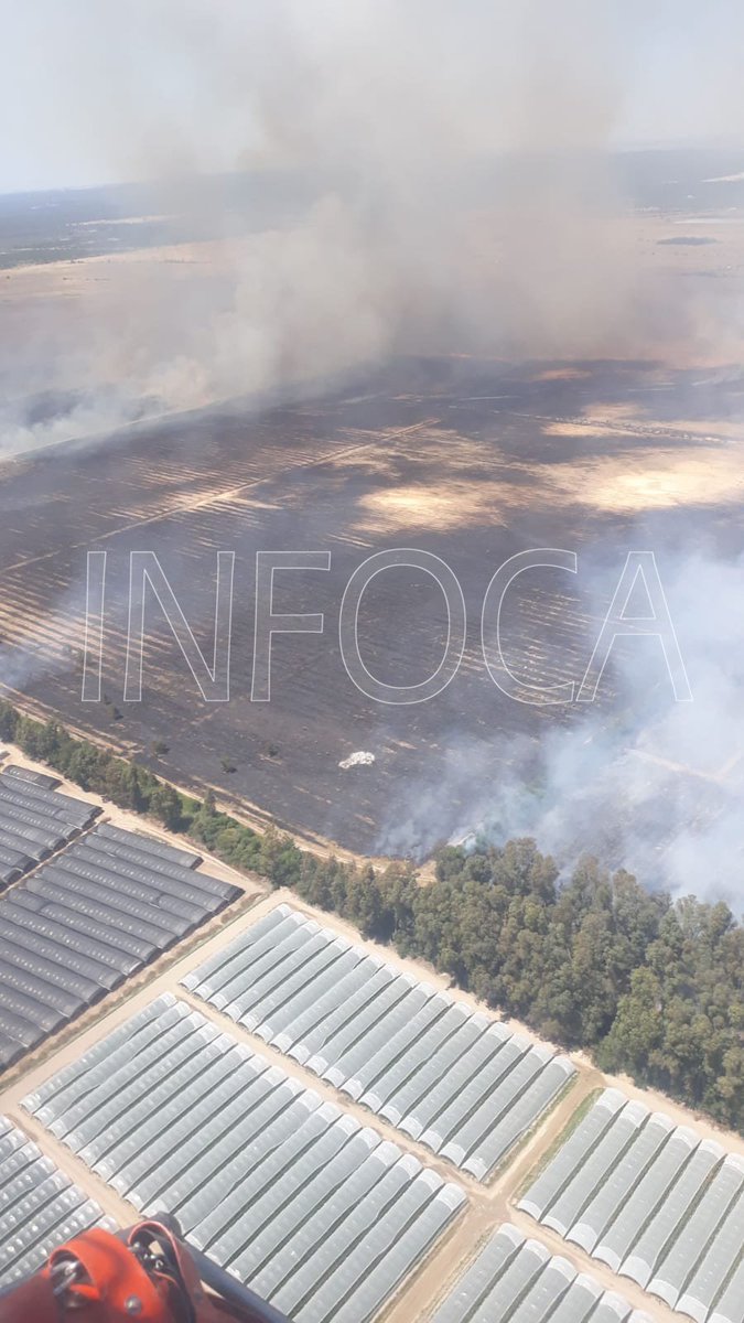 Plan_INFOCA's tweet photo. ACTUALIZAMOS | #IFAlmonte,  #Huelva, en Los Mimbrales. Medios desplegados: 30 #BomberosForestales (incluida 1 #BRICA de #Cártama, #Málaga), 2 #TOP y 2 medios aéreos: los helicópteros de transporte y extinción Hotel 7 y Eco 5 https://t.co/vEuKMSJvLo