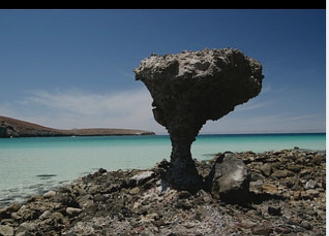 BalandraPlaya's tweet photo. Increíble formación rocosa en forma de hongo ���� https://t.co/fqIzk8mx5d