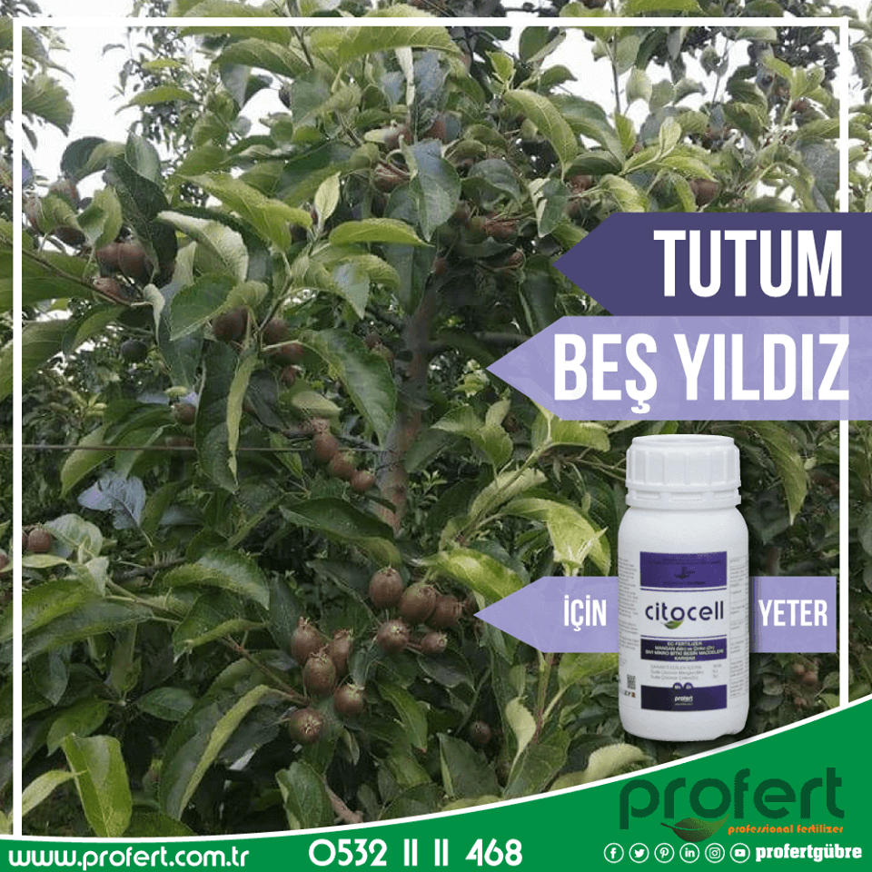 Profertgubre's tweet photo. 🍏🍎 #Elma'da 🍏🍎Tutum için, 🍏🍎Beş Yıldız için #citocell yeter size...
🌍https://t.co/OtLd7GjyRf 📲0532 11 11 468
#profert #profertgübre #profertfertilizer #gübre #tarım #fertilizers #çiftçi #amasya #agro #agriculture #izmir #elmayetiştiriciliği #organik #eğirdir #ısparta https://t.co/H2j33KfZOG