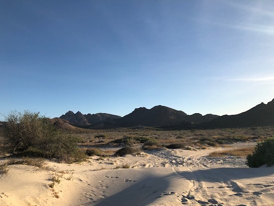 tecolotebeacho1's tweet photo. Playa "El Tecolote" es una de las más atractivas de visitar en las cercanías de La Paz, en especial por sus espectaculares formaciones rocosas, sus dunas y el grato ambiente que la define.

#Tecolotebeach #VisitMexico #VisitLaPazMX #VisitBCS #Dunasyplaya https://t.co/re3bnuVsdM
