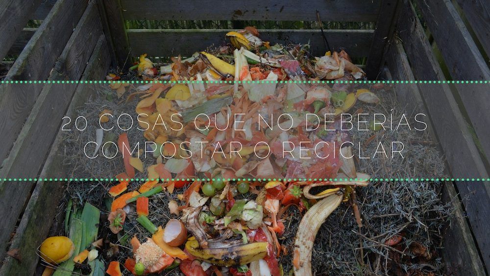 EcoInventos's tweet image. 20 cosas que no deberías #compostar o #reciclar.

ecoinventos.com/cosas-que-no-d…