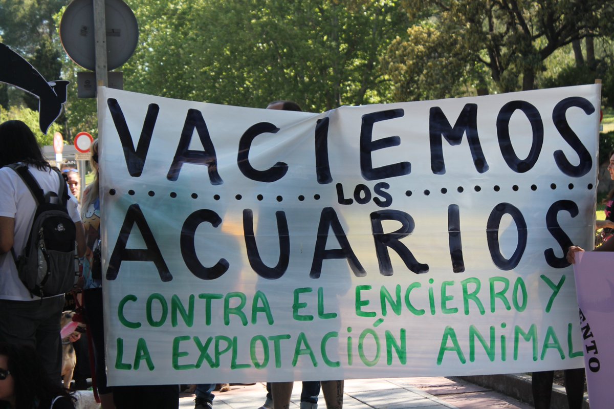 NoEnMiPlato's tweet photo. Por unos minutos de diversión, toda una vida de reclusión🐬.

#FreeTheTanks #StopAnimalCruelty #AnimalRights #NoAlZoo https://t.co/HyMwqzZyor