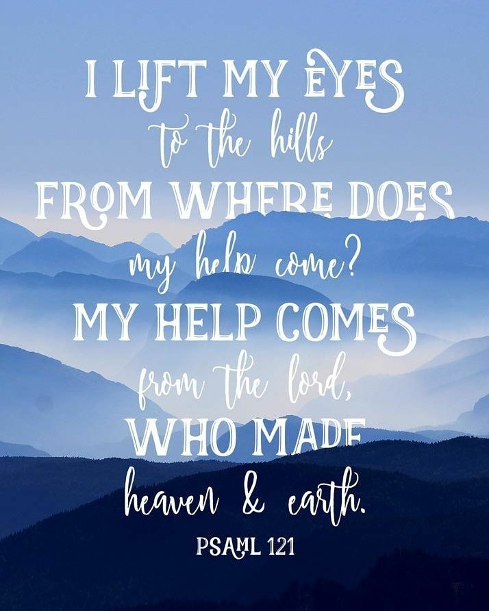 MissM_US's tweet photo. Are we looking for help in the right place? https://t.co/LYZLfoH461