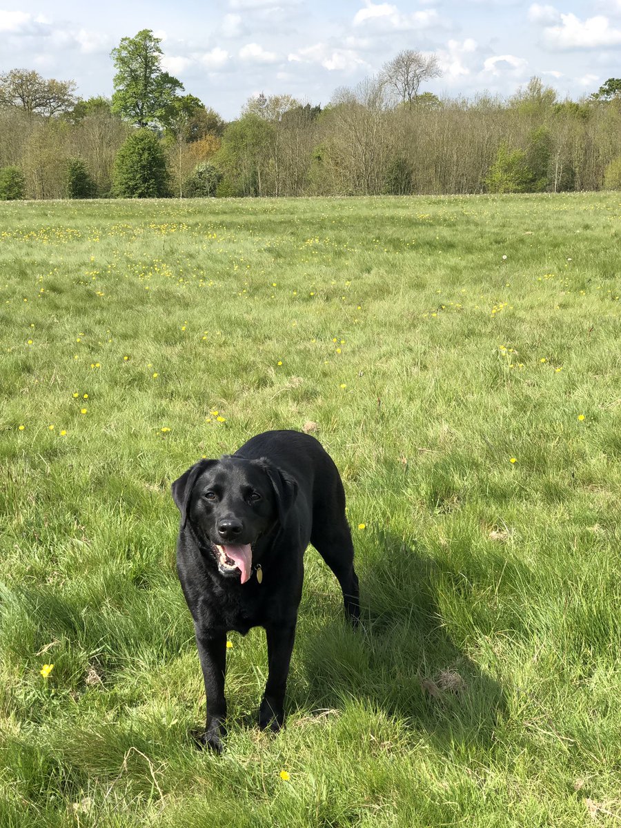 Defra UK on Twitter "Today we've taken a major step to improve the