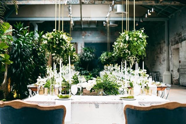 RaycePR's tweet photo. These show-stopping chandeliers bursting with fresh greenery were designed to hang above the guest tables by @littlehilldesigns 
Planner: @popthechampagne | Photographer: @isaiahandtaylorphotography | Venue: #Millwick | Floral Design: @LittleHillDesigns https://t.co/qA4MkZFdtL