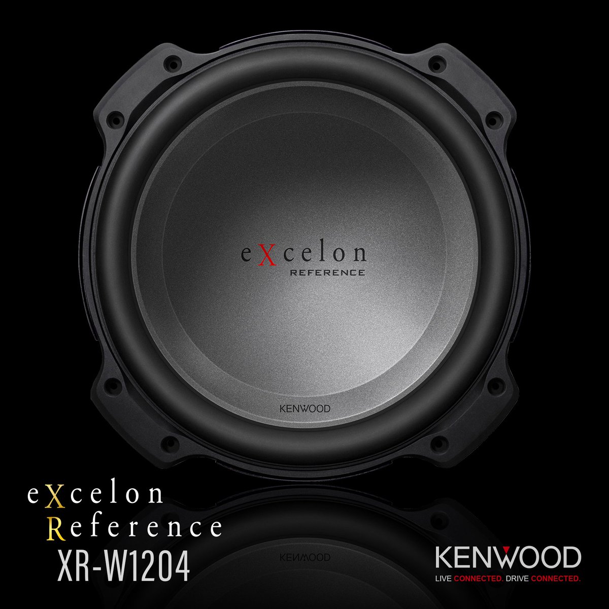 speaker kenwood 12