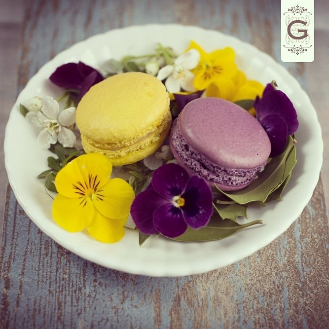A perfect presentation!

#ganachemacarons #macarons #macaroons #food #love #cute #colourful #snack #dessert #sweet #candy #brunch #tasty #photooftheday #photography #delish #classy #luxury #happy #professional #flowers #yellow #purple