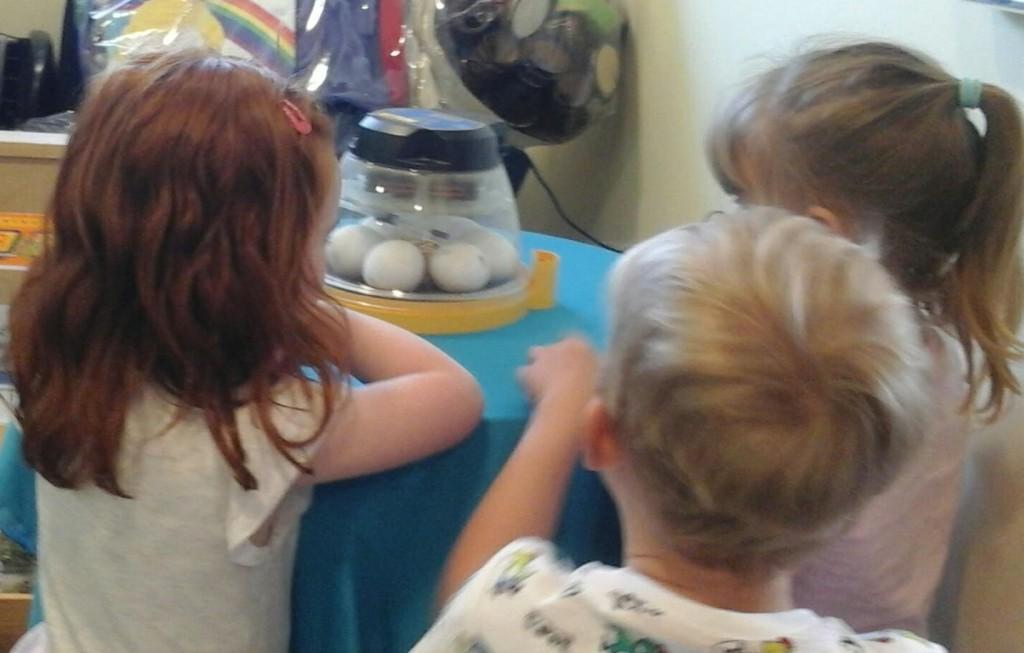 Bright Horizons Fair oak tweet media