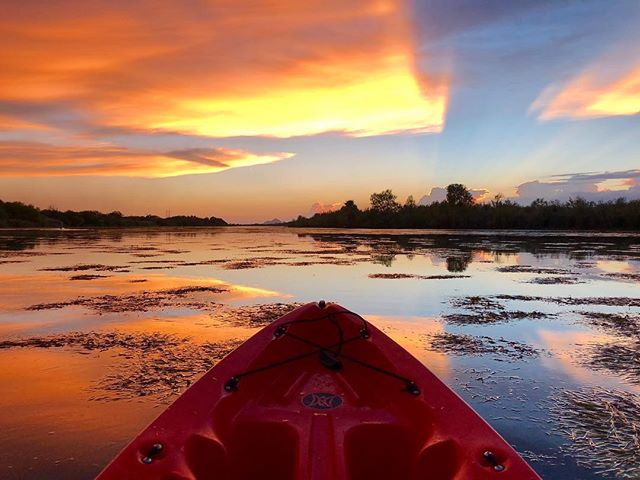 VisitMesa's tweet photo. Stay calm and Kayak on #MotivationMonday
.
.
📷: @sarahmcgrawphotography
.
.
#VisitMesa #CityLimitless #instagramaz #travelinspiration #saltriver #hikeaz #arizonahikersguide #exploreaz #az365 #arizonalife #optoutside #azoutdoors #igsouthwest https://t.co/ufSaozA2Rc