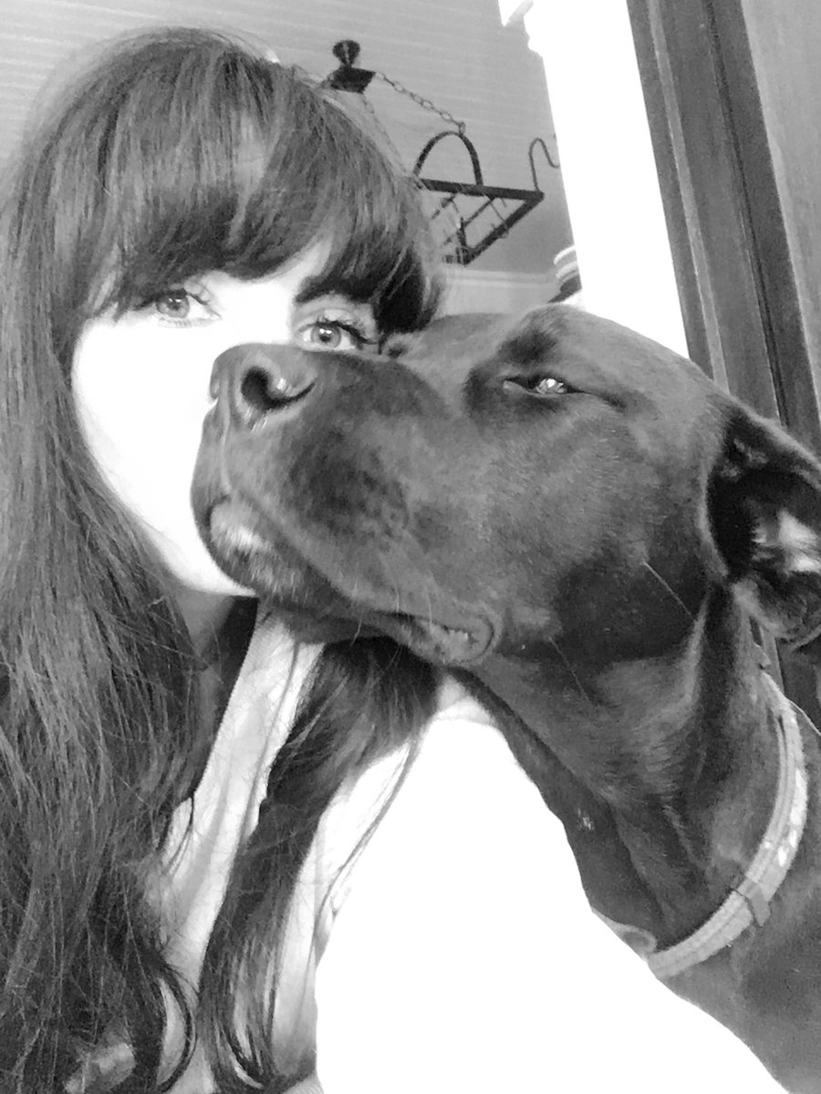 bee_spinner's tweet photo. 🏆🏆🏆 #selfiestix @PedigreeUS just came up with a genius idea!!!
A selfie stick that holds a treat to take the perfect dogfie.
Let’s try... https://t.co/KlFo9JYPSz