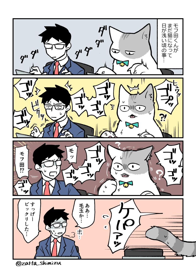 『ブラック企業の社員が猫になって人生が変わった話』新章の5

モフ田くんは、猫になってコレが一番慣れないそうです☺️?

#猫になったモフ田シリーズ　#創作漫画 