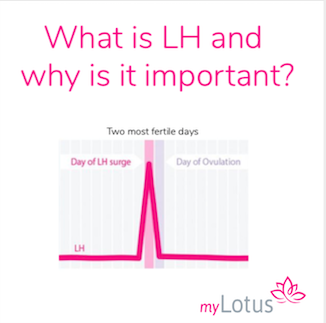 MyloWorld on X: The Luteinising Hormone (LH) surge indicates you're about  to ovulate. The day the LH surge is detected and the day after are your two  most fertile days in your