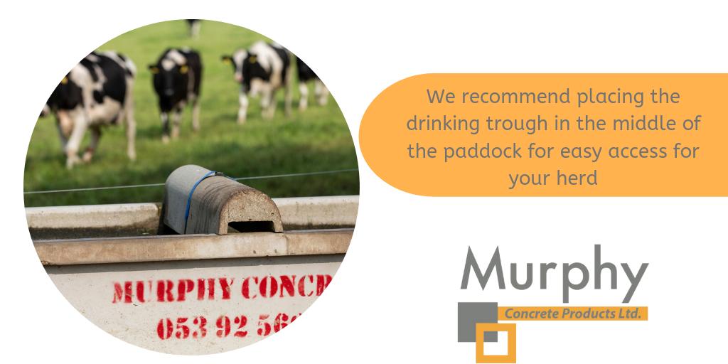 At Murphy Concrete, we recommend placing the drinking trough in the middle of the paddock where it is easily accessible for the herd. To see more of our top tips for maintaining your water system, check out our blog #precast #concrete bit.ly/303ULni