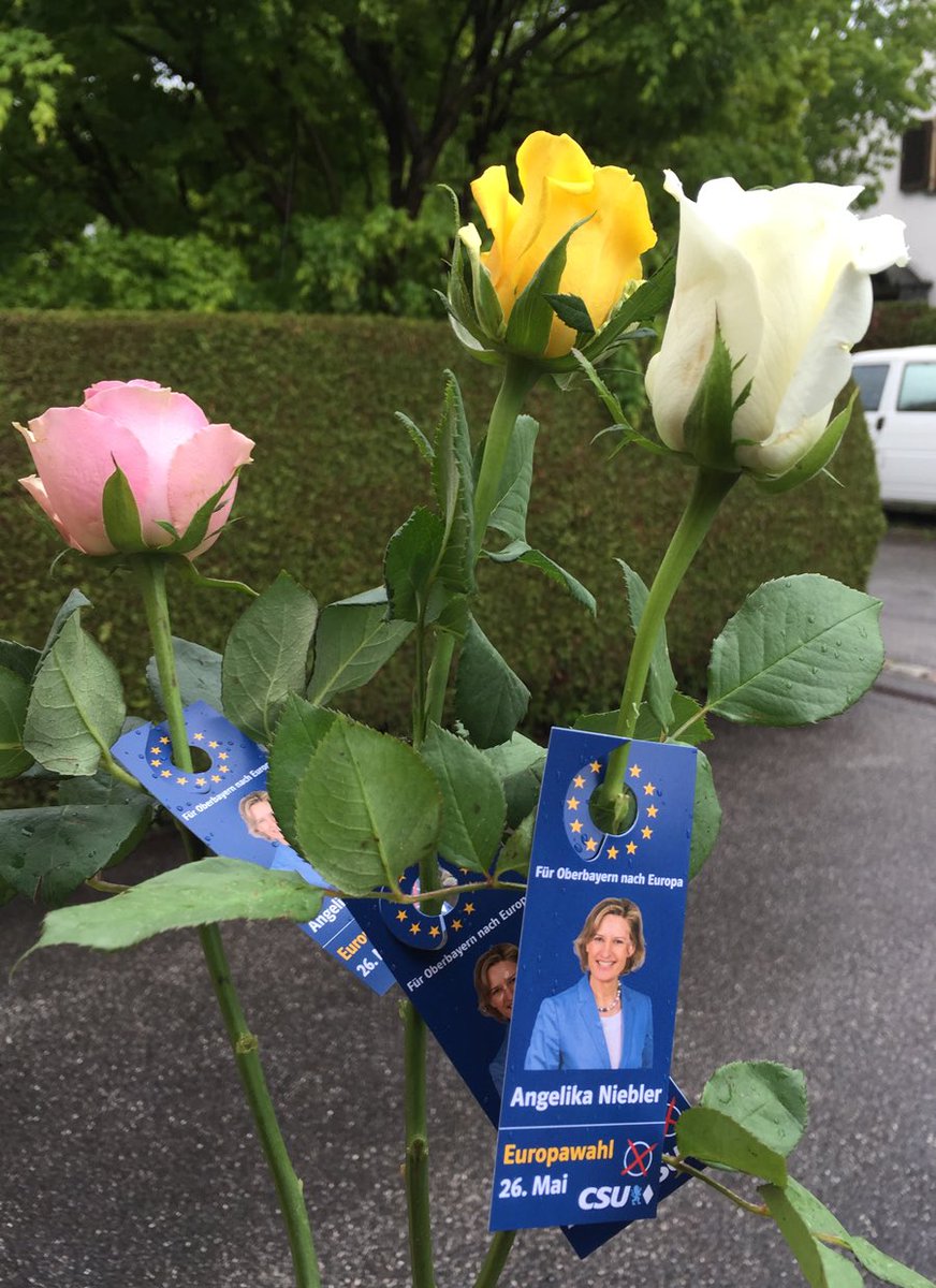Mit Rosen zum Muttertag haben wir gestern an die bevorstehende Europawahl erinnert. #DeinEuropa @ManfredWeber @ANiebler #nichtwählenistkeineoption #wahlkampfbeiwindundwetter
