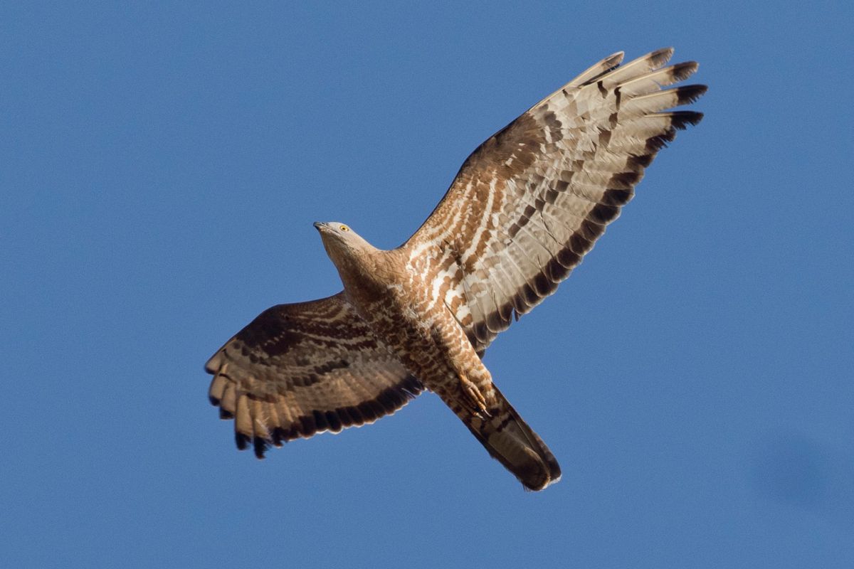 Andalucia Amazing Migrants Tour - mailchi.mp/e40d63e82903/a…