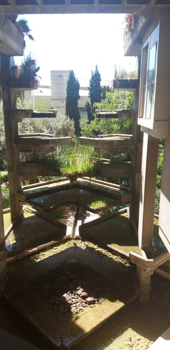 guiaverdecom's tweet photo. Descubriendo Espai Verd, un oasis de vegetación en la ciudad, de la mano de su arquitecto Antonio Cortés. Próximamente en #InformativoGV https://t.co/dkIgWP5XUe